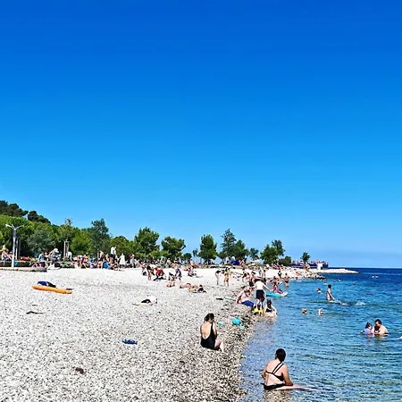 Lions Gate * Capodistria
